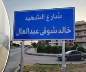 الرئيس السيسي يمنح نوط الاستحقاق من الطبقة الأولى لاسم الشهيد خالد عبد العال