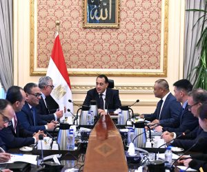 مدبولي لشركة صينية: مهتمين بتوطين صناعة مكونات محطات الطاقة الشمسية في مصر