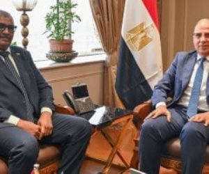 وزيرا الرى المصرى والسودانى: الحفاظ على مسار مبادرة حوض النيل
