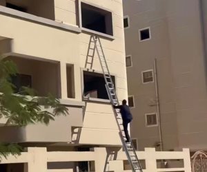 الأمن ينقذ قطة محتجزة بأحد العقارات في المنيا الجديدة 