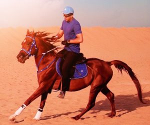 عصام السقا ينشر صوره مع الخيل: معقود بنواصيها الخير إلى يوم القيامة