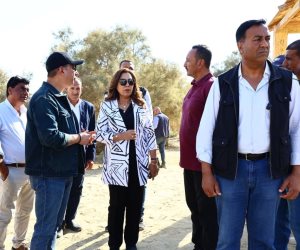 وزيرة التنمية المحلية والقائم بأعمال وزير البيئة ومحافظ الفيوم في جولة تفقدية بمحمية وادي الريان