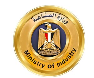وزارة الصناعة تنفي ما تم تداوله بشأن إلغاء "بروتوكول الشحن الصيني" الخاص بالسيارات الكهربائية