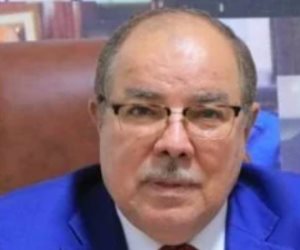 النائب إسماعيل نصر الدين: قرار الأمم المتحدة بشأن حل الدولتين انتصار سياسى ودبلوماسى