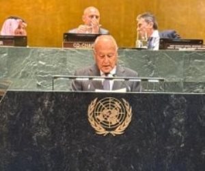 أبو الغيط: الاحتلال يسعى لقتل مشروع الدولة الفلسطينية في غزة بالهدم والدمار