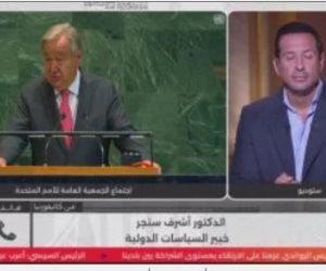 أشرف سنجر لـ"كلمة أخيرة": مصر لن تتحمل عبء القضية الفلسطينية وحدها