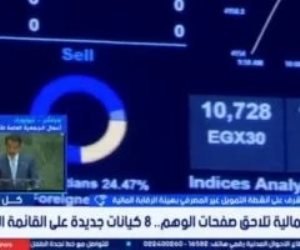 "الرقابة المالية" تحذر : صفحات وهمية تقدم قروضا استهلاكية خارج الأطر القانونية