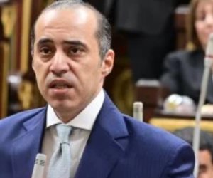 وزير الشؤون النيابية: تنسيق كامل بين الحكومة والبرلمان لصالح المواطن
