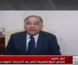 وزير فلسطينى سابق: الاعتراف بدولتنا انتصار كبير والقضية تمس أمن العرب