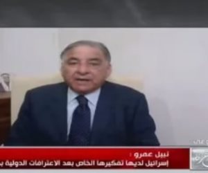 وزير فلسطينى سابق: الاعتراف بدولتنا انتصار كبير والقضية تمس أمن العرب