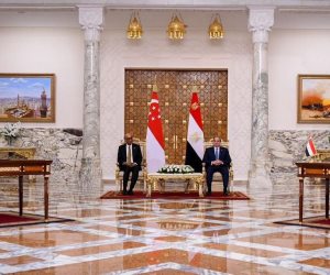 المشاط: مصر حريصة على تقوية العلاقات التجارية والاستثمارية والاقتصادية وتبادل الخبرات مع سنغافورة