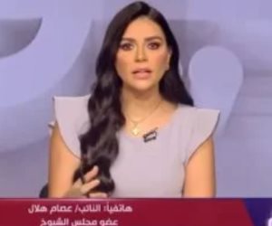 عضو بالشيوخ لـ"اليوم": نستهدف تحويل "العدالة الاجتماعية" من فكرة نظرية لواقع عملى