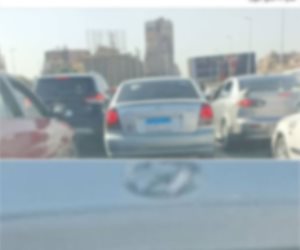 ضبط قائد سيارة طمس اللوحات المعدنية الخلفية للهروب من المخالفات