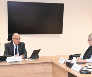 وزير الرى يبحث مع سفيرة فنلندا بالقاهرة سبل تعزيز التعاون بين البلدين في مجال الموارد المائية