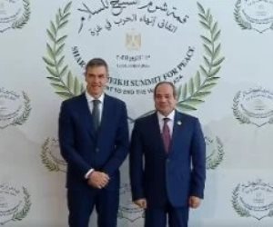 خارجية النواب: مصر الرقم الأصعب في معادلة الأمن والسلام بالشرق الأوسط