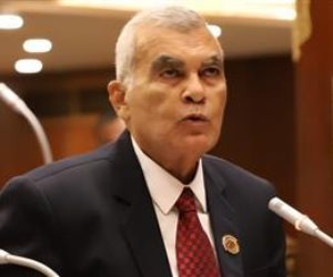 المستشار عصام الدين فريد رئيسا لمجلس الشيوخ 2025.. رسميا