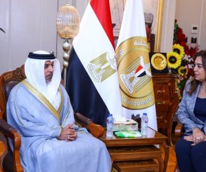 وزيرة التنمية المحلية تستقبل سفير الإمارات الجديد بالقاهرة لبحث سبل التعاون