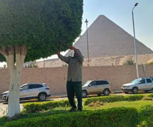 محافظ الجيزة: صيانة شاملة للمسطحات الخضراء بمحيط المتحف المصرى الكبير محافظ الجيزة: صيانة شاملة للمسطحات الخضراء بمحيط المتحف المصرى الكبير