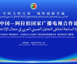 تحت شعار "تبادل الحضارات العربية الصينية".. انعقاد الملتقى العربي الصيني السابع للإذاعة والتليفزيون في تشونغتشينغ 