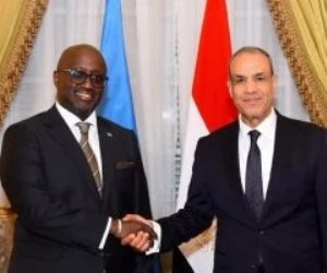 وزير الخارجية: مصر ستتخذ كافة الإجراءات اللازمة لحماية أمنها المائى