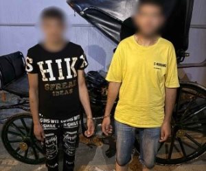 كشف ملابسات فيديو سائق "حنطور" حاول إجبار سائحة على الركوب بالإسكندرية