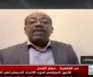 حزب الاتحاد الديمقراطي السوداني: مصر تلعب دورًا مهمًا في دعمنا سياسيا