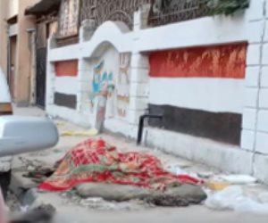 ضبط مهتز نفسيا يفترش الرصيف أمام سور مدرسة بالأسكندرية و إيداعه بدور الرعاية النفسية