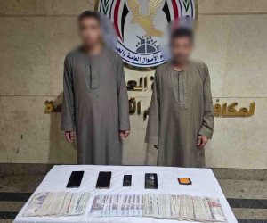 ضبط شخصين لقيامهما بالنصب على سيدة والإستيلاء على أموال من حسابها البنكى