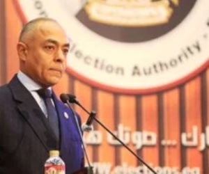 المستشار أحمد بندارى: العملية الانتخابية بالخارج سارت بانضباط وكفاءة