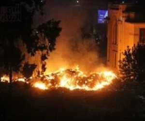 وزارة الزراعة: السيطرة على حريق محدود في مخلفات تقليم الأشجار دون خسائر