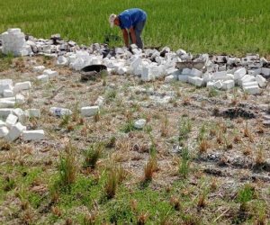 لجنة استرداد أراضى الدولة: تسليم 113 ألف عقد تقنين المواطنين حتى الآن 