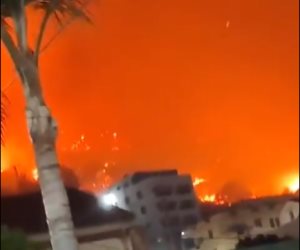 بسبب تغيرات المناخ.. 29 حريقا خلال ساعات الليل فى غابات الجزائر.. فيديو