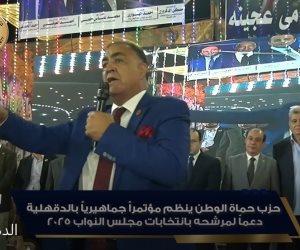 حزب حماة الوطن ينظم مؤتمراً جماهيرياً حاشدا بالدقهلية دعماً لمرشحه بانتخابات مجلس النواب 2025