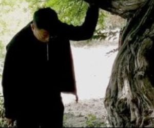 موسوعة جينيس توثق أقدم شجرة عنب حية فى العالم بعمر 416 عاما فى التبت