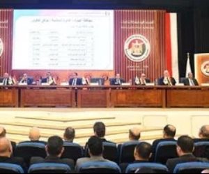 الجدول الزمنى الجديد لانتخابات مجلس النواب بـ 19 دائرة ملغاة نتائجها