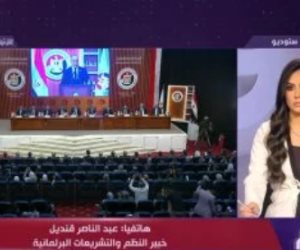 خبير تشريعات برلمانية لـ اليوم: هناك معالجة دقيقة للمشهد الانتخابى