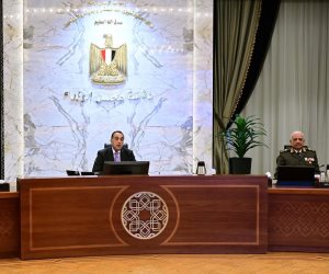 مجلس الوزراء يُوافق على مشروع قرار بإصدار لائحة تنظيم التصوير الأجنبي داخل مصر