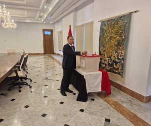 توافد المصريين في تونس للمشاركة في المرحلة الثانية من انتخابات مجلس النواب 2025