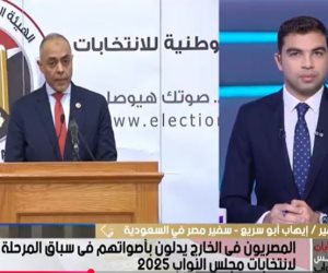 إقبال ملحوظ للمصريين بالسعودية وانضباط كامل في المرحلة الثانية للانتخابات (فيديو)