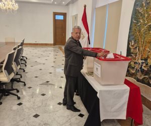 لليوم الثاني انطلاق التصويت في انتخابات مجلس النواب للمصريين بالخارج في 24 دولة بالمرحلة الثانية 