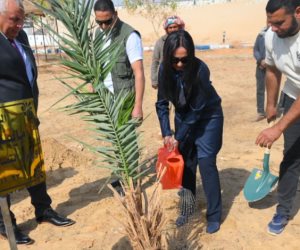 وزيرة التضامن الاجتماعي تغرس نخلة في حديقة 30 يونيو بالوادي الجديد