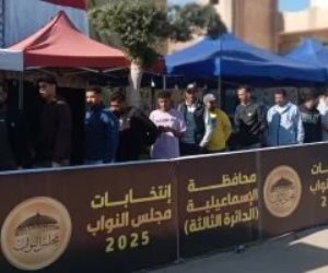 إقبال كبير على لجان مجلس النواب بمركز فايد بمحافظة الإسماعيلية