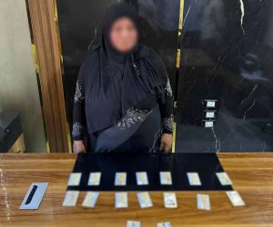 ضبط سيدة بإحدى الدوائر الإنتخابية بمركز سيدى سالم بمحافظة كفرالشيخ  وبحوزتها بطاقات شخصية لمواطنين