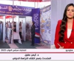 ائتلاف نزاهة: نرصد انتخابات مجلس النواب من خلال 34 متابعا دوليا