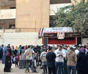 التنسيقية: حضور مكثف من الشباب فى لجان انتخابات النواب شبين الكوم