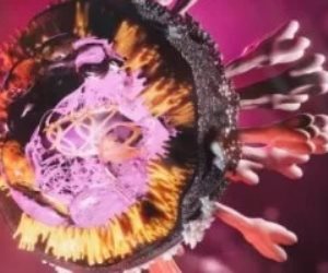 كيف تنتقل عدوى فيروس ماربورغ.؟ وطرق الوقاية