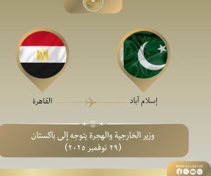 وزير الخارجية يتوجه إلى باكستان