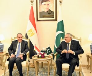 مشاورات سياسية بين وزيري الخارجية المصري والباكستاني في إسلام آباد