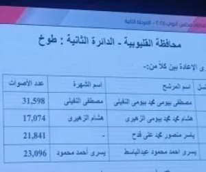 إعادة فى الدائرة الثانية بالقليوبية ومقرها طوخ بانتخابات مجلس النواب