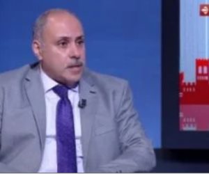 أستاذ علوم سياسية: الرئيس السيسي أعطى درسًا شاملًا لكل أطراف العملية الانتخابية